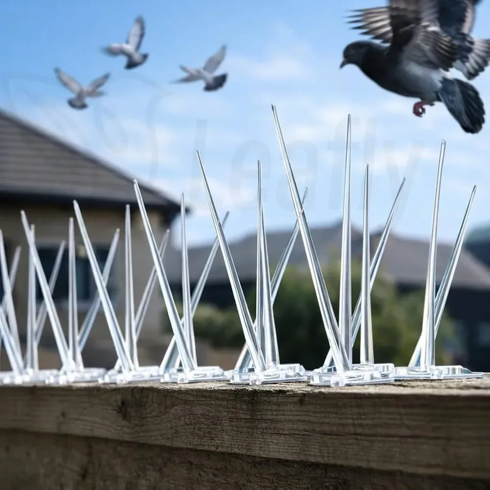 Anti-Bird Spikes Installed by Lakshmi Enterprises