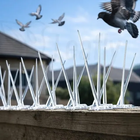 Anti-Bird Spikes Installation