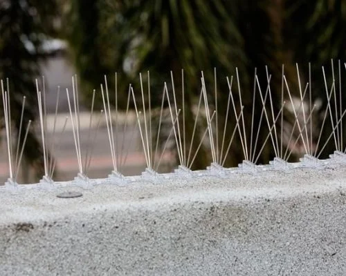 Residential Balcony Anti-Bird Spikes by Lakshmi Enterprises