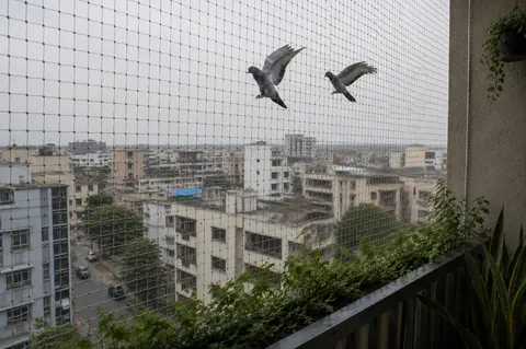 Building Safety Nets Installation